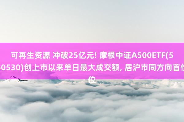 可再生资源 冲破25亿元! 摩根中证A500ETF(560530)创上市以来单日最大成交额, 居沪市同方向首位