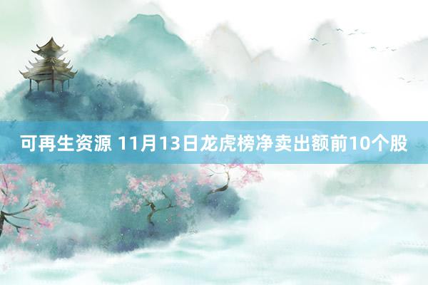 可再生资源 11月13日龙虎榜净卖出额前10个股