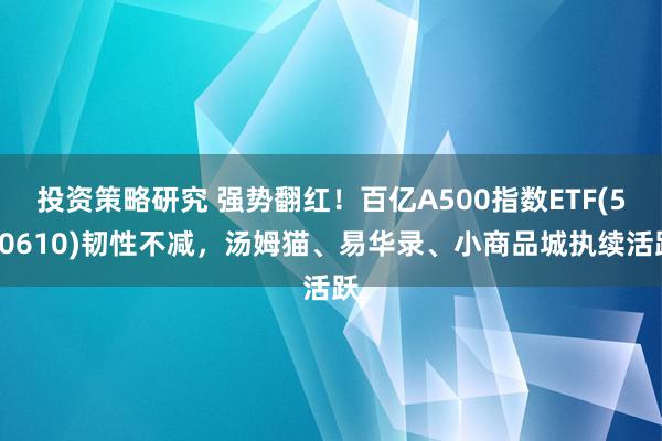 投资策略研究 强势翻红！百亿A500指数ETF(560610)韧性不减，汤姆猫、易华录、小商品城执续活跃