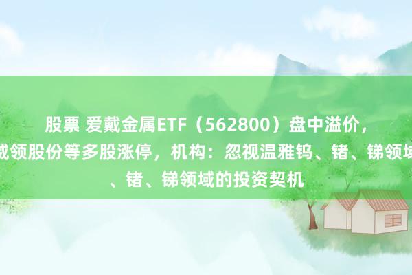 股票 爱戴金属ETF（562800）盘中溢价，东方锆业、威领股份等多股涨停，机构：忽视温雅钨、锗、锑领域的投资契机