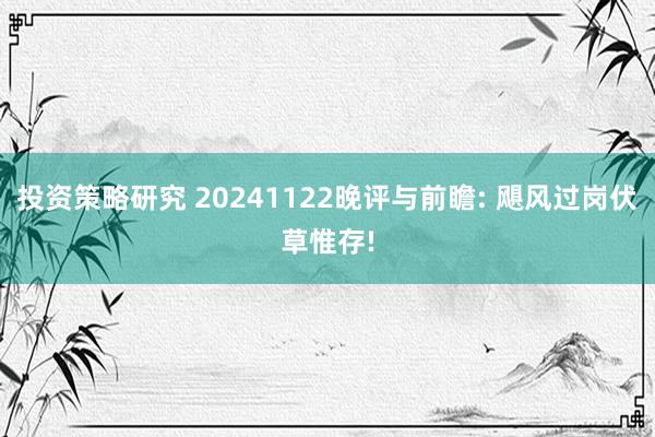 投资策略研究 20241122晚评与前瞻: 飓风过岗伏草惟存!