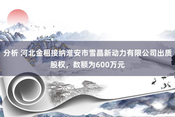 分析 河北金租接纳淮安市雪晶新动力有限公司出质股权，数额为600万元