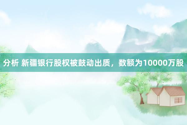 分析 新疆银行股权被鼓动出质，数额为10000万股