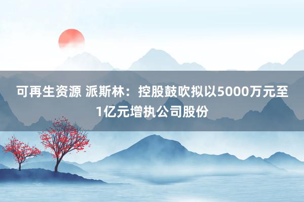 可再生资源 派斯林：控股鼓吹拟以5000万元至1亿元增执公司股份