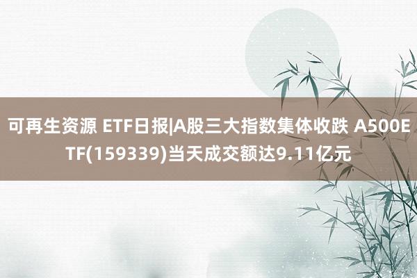 可再生资源 ETF日报|A股三大指数集体收跌 A500ETF(159339)当天成交额达9.11亿元