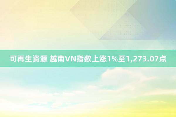 可再生资源 越南VN指数上涨1%至1,273.07点