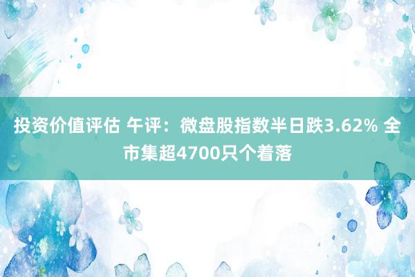 投资价值评估 午评：微盘股指数半日跌3.62% 全市集超4700只个着落