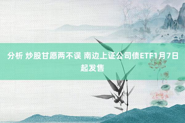 分析 炒股甘愿两不误 南边上证公司债ETF1月7日起发售