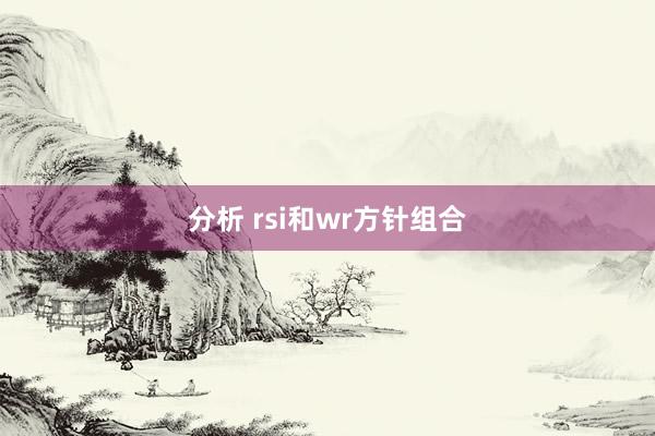 分析 rsi和wr方针组合