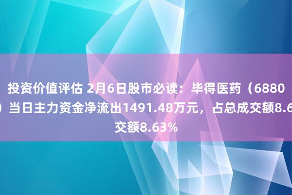 投资价值评估 2月6日股市必读：毕得医药（688073）当日主力资金净流出1491.48万元，占总成交额8.63%