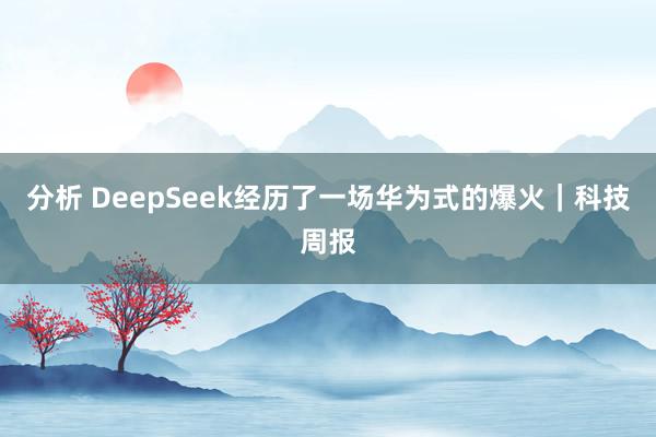 分析 DeepSeek经历了一场华为式的爆火｜科技周报