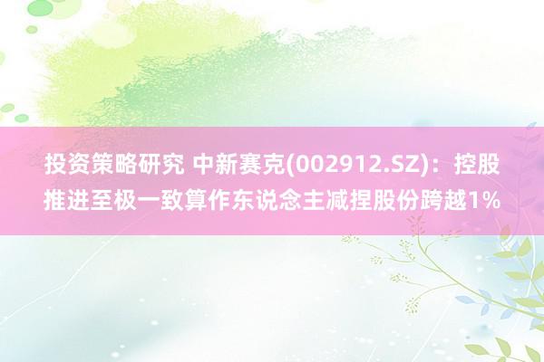 投资策略研究 中新赛克(002912.SZ)：控股推进至极一致算作东说念主减捏股份跨越1%