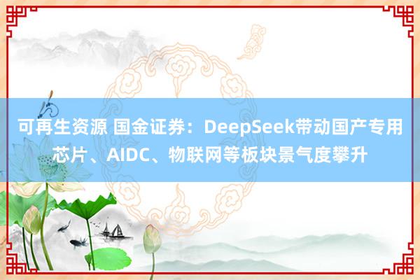 可再生资源 国金证券：DeepSeek带动国产专用芯片、AIDC、物联网等板块景气度攀升