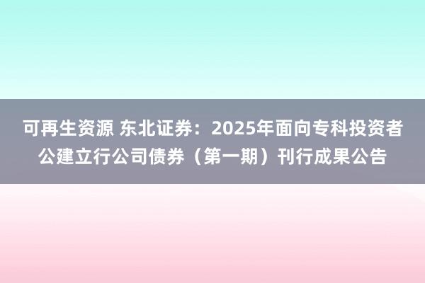 可再生资源 东北证券：2025年面向专科投资者公建立行公司债券（第一期）刊行成果公告