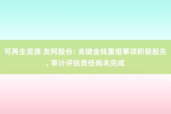 可再生资源 友阿股份: 关键金钱重组事项积极股东, 审计评估责任尚未完成