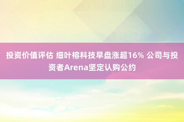 投资价值评估 细叶榕科技早盘涨超16% 公司与投资者Arena坚定认购公约