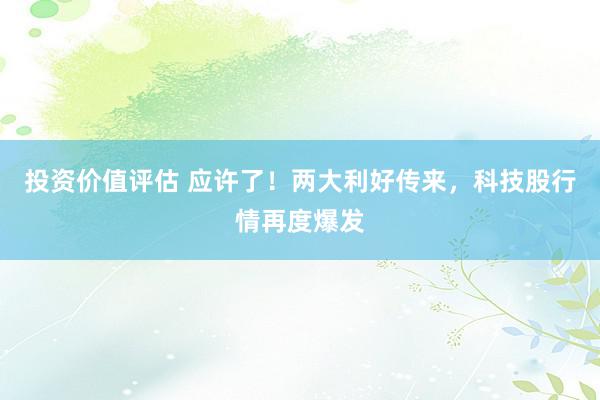 投资价值评估 应许了！两大利好传来，科技股行情再度爆发