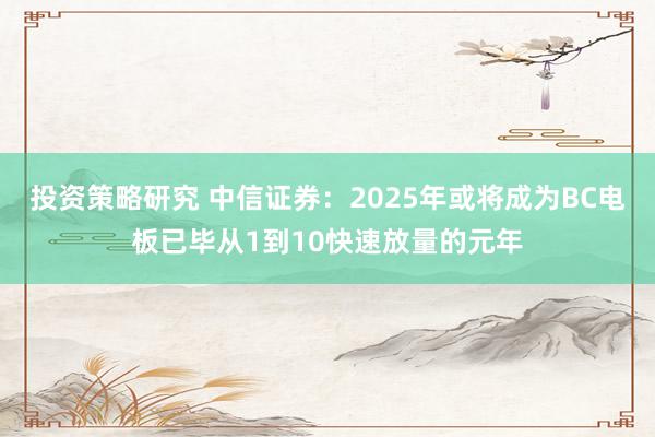 投资策略研究 中信证券：2025年或将成为BC电板已毕从1到10快速放量的元年