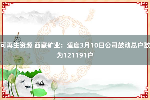 可再生资源 西藏矿业：适度3月10日公司鼓动总户数为121191户